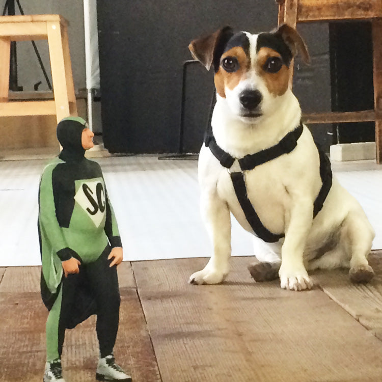 Immagine di Elio e le Storie Tese su Rolling Stone