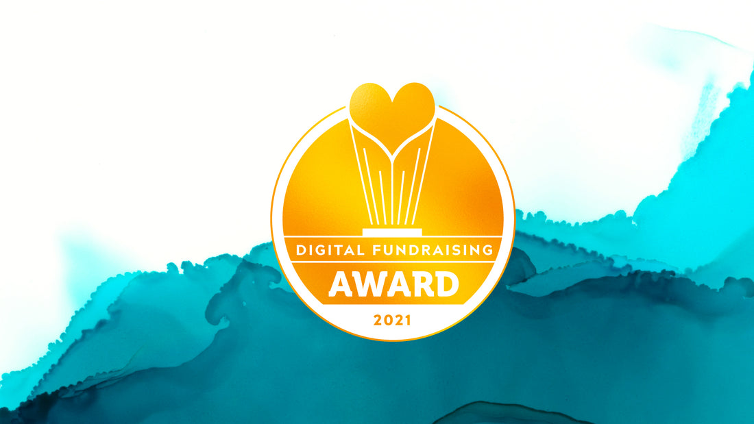 Immagine di Insieme per la musica vince il Digital Fundraising Award