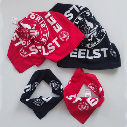 La bandana Punk di Elio e le Storie Tese