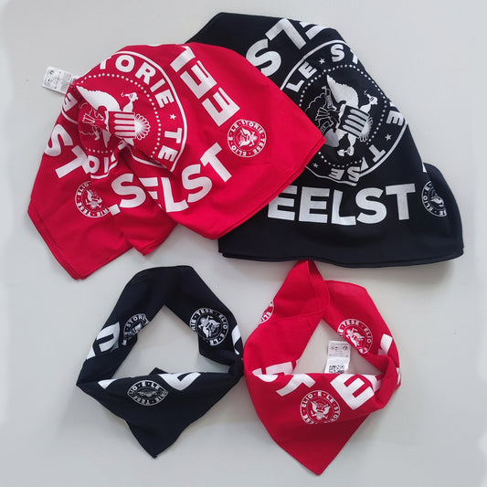 La bandana Punk di Elio e le Storie Tese