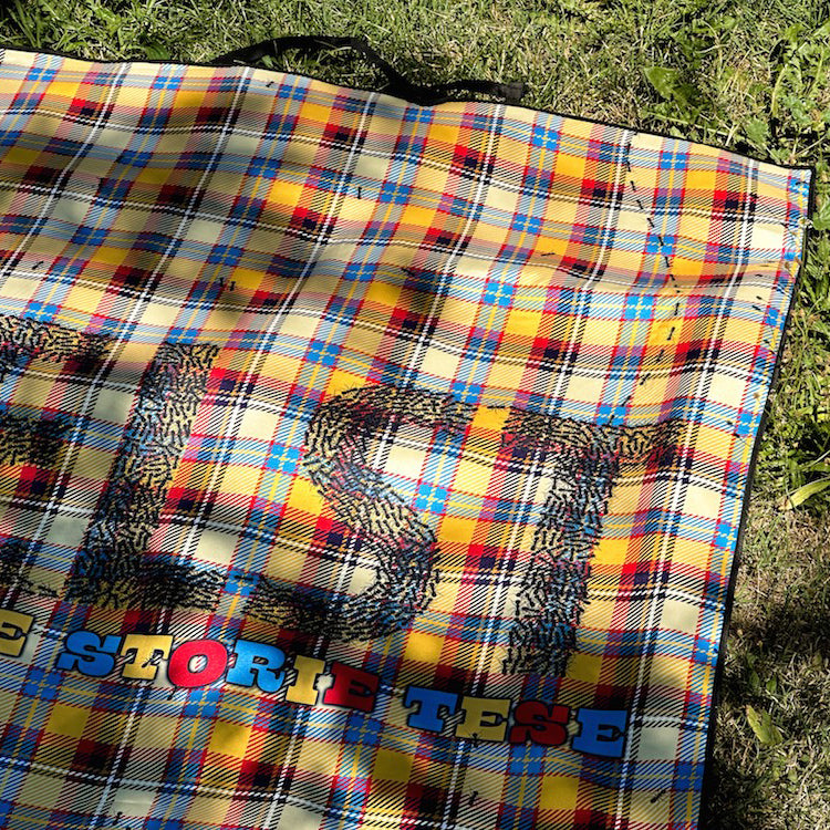 Il plaid di EelST con formiche incorporate