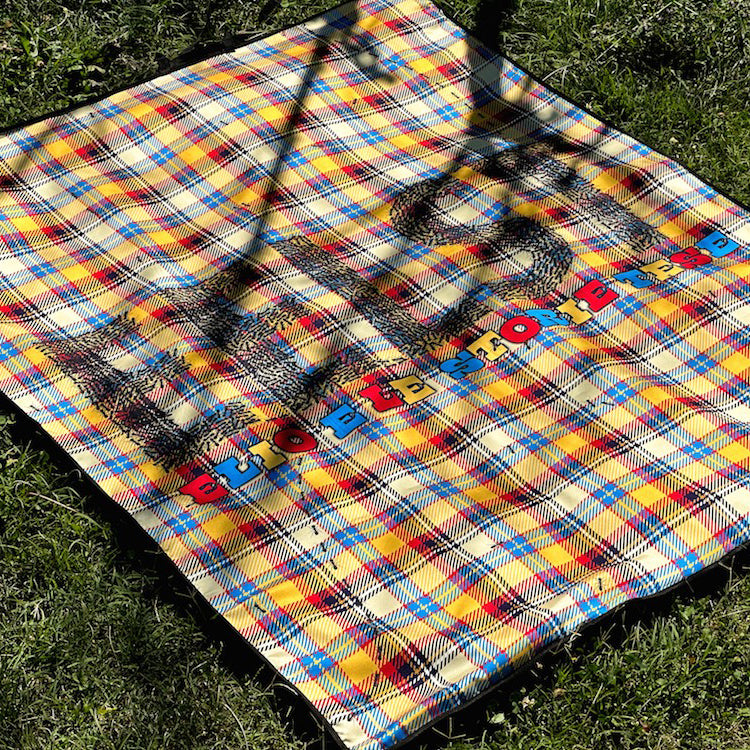 Il plaid di EelST con formiche incorporate