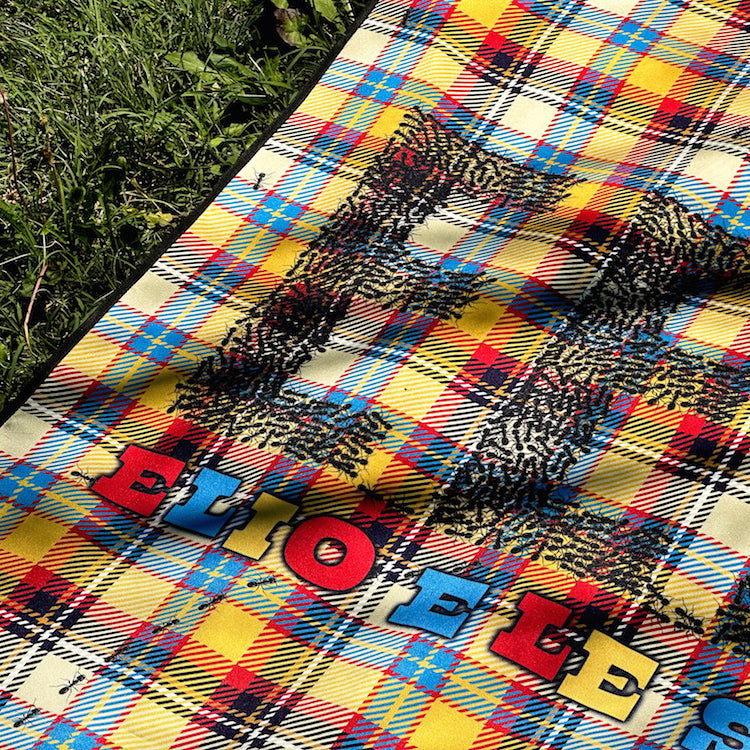 Il plaid di EelST con formiche incorporate