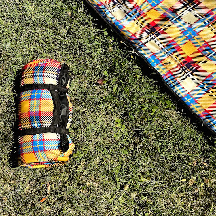 Il plaid di EelST con formiche incorporate