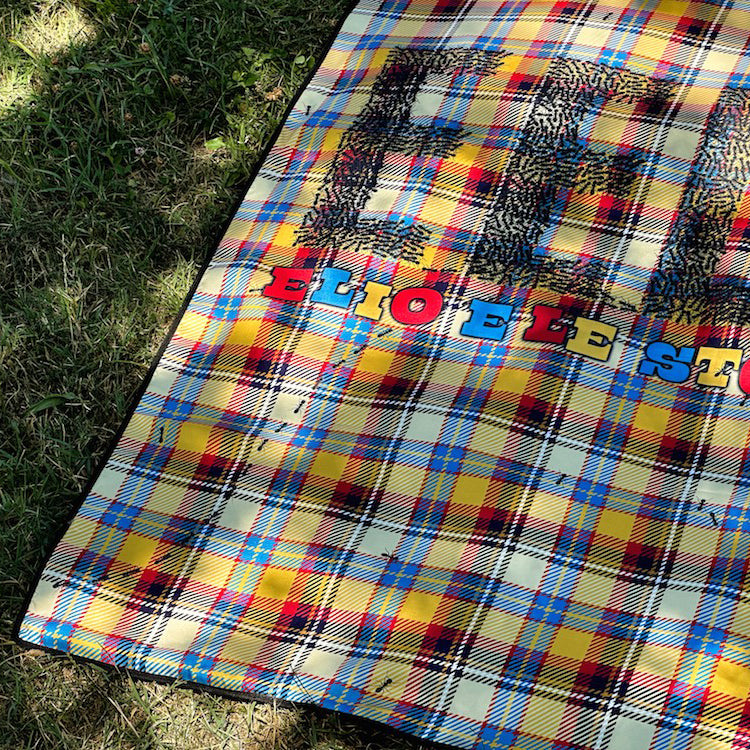 Il plaid di EelST con formiche incorporate