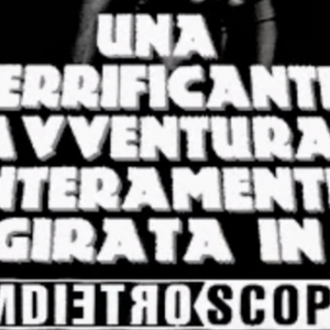 Mio Cuggino